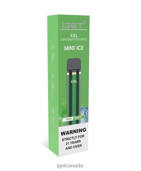 IGET Vape XXL L4XRV63 Mint Ice