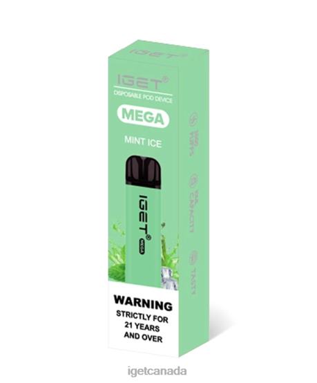 IGET Vape Toronto MEGA L4XRV134 Mint Ice