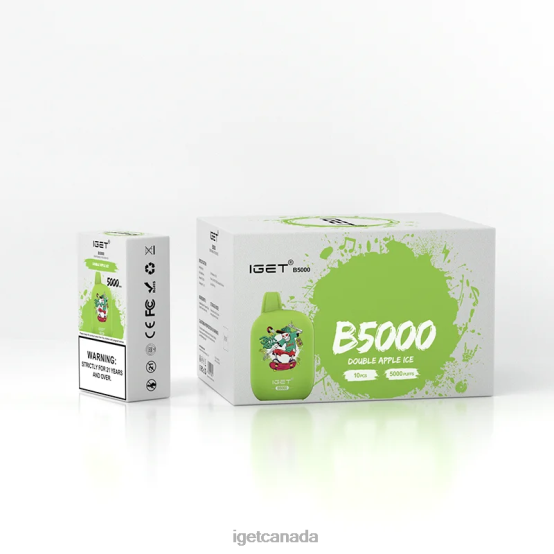 IGET Vape Sale B5000 L4XRV315 Double Apple Ice
