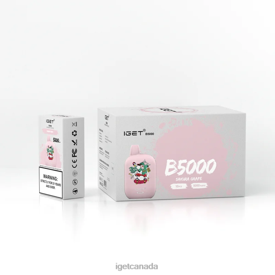 IGET Wholesale B5000 L4XRV317 Sakura Grape
